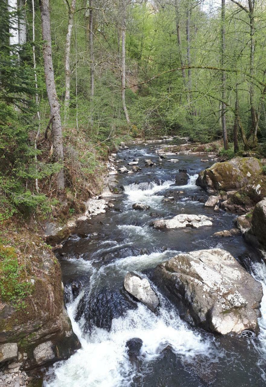 Herberg Die Alte Schleuse Manderscheid Luaran gambar
