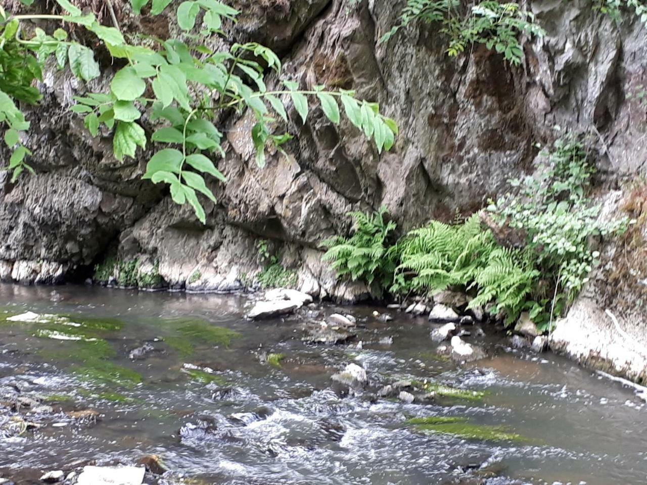 Herberg Die Alte Schleuse Manderscheid Luaran gambar