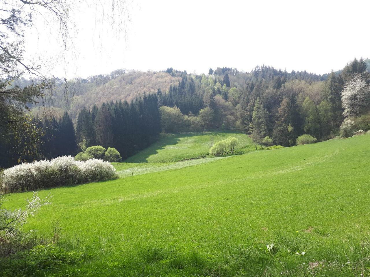 Herberg Die Alte Schleuse Manderscheid Luaran gambar